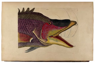 The Natural History of Carolina, Florida, and the Bahama Islands: containing the figures of birds, beasts, fishes, serpents, insects, and plants; particularly, those not hitherto described, or incorrectly figured by former authors, with their descriptions in English and French