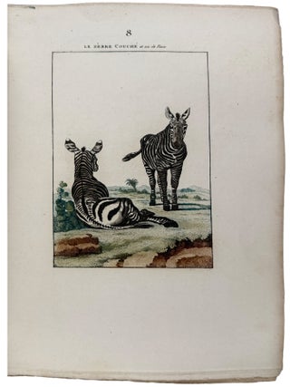 Nouveau Mus&eacute;um d'Histoire Naturelle... Dessin&eacute;es par M. Des&egrave;ve, et autres habiles Artistes...Tome Premier