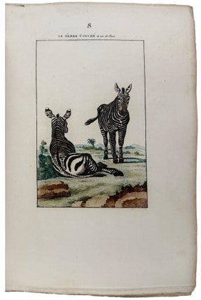 Nouveau Muséum d'Histoire Naturelle... Dessinées par M. Desève, et autres habiles Artistes...Tome Premier