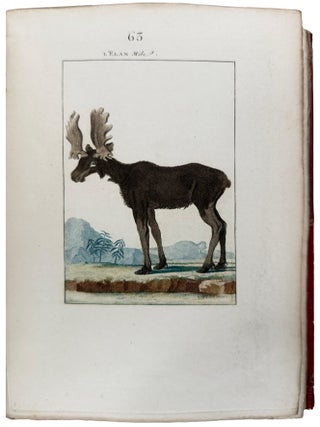 Nouveau Mus&eacute;um d'Histoire Naturelle... Dessin&eacute;es par M. Des&egrave;ve, et autres habiles Artistes...Tome Premier
