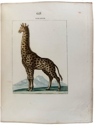 Nouveau Mus&eacute;um d'Histoire Naturelle... Dessin&eacute;es par M. Des&egrave;ve, et autres habiles Artistes...Tome Premier