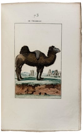 Nouveau Muséum d'Histoire Naturelle... Dessinées par M. Desève, et autres habiles Artistes...Tome Premier