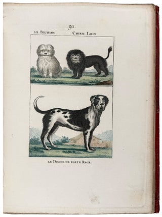 Nouveau Mus&eacute;um d'Histoire Naturelle... Dessin&eacute;es par M. Des&egrave;ve, et autres habiles Artistes...Tome Premier