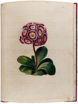 A Series of Progressive Lessons, Intended to Elucidate the Art of Flower Painting in Water Colours, 4th edition