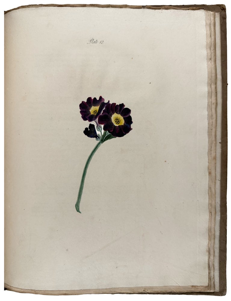 Item #42998 Practical Directions for Learning Flower-Drawing. Illustrated by Coloured Drawings. Patrick SYME.