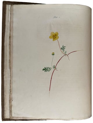 Practical Directions for Learning Flower-Drawing. Illustrated by Coloured Drawings