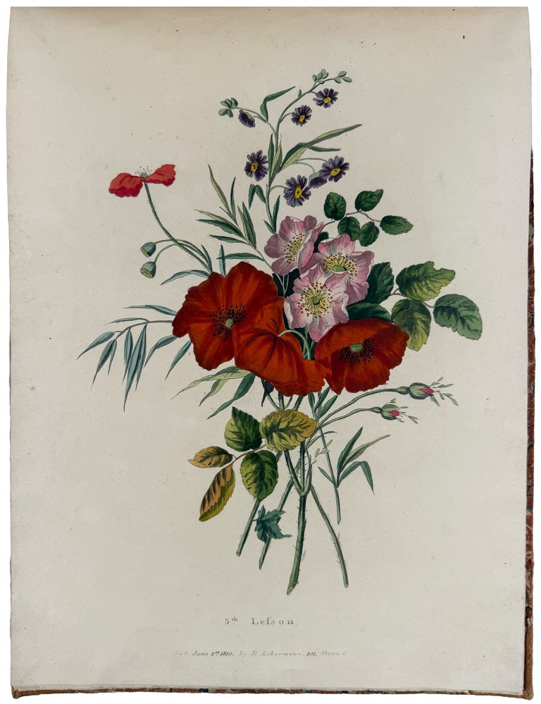Item #42999 Six Progressive Lessons For Flower Painting: With Directions for Drawing and Colouring of Flowers, Upon Botanical Principals. Rudolph ACKERMANN, publisher.