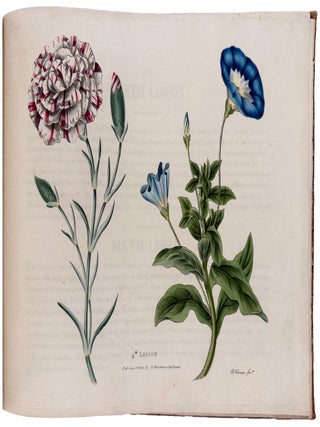 Six Progressive Lessons For Flower Painting: With Directions for Drawing and Colouring of Flowers, Upon Botanical Principals