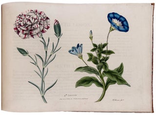 Six Progressive Lessons For Flower Painting: With Directions for Drawing and Colouring of Flowers, Upon Botanical Principals