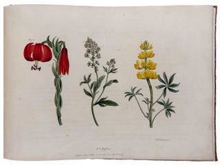 Six Progressive Lessons For Flower Painting: With Directions for Drawing and Colouring of Flowers, Upon Botanical Principals