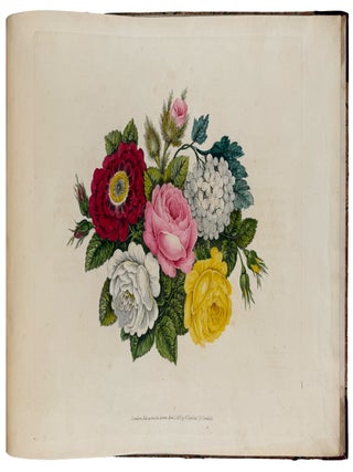 Item #43000 Rudiments of Drawing, Shadowing, and Colouring Flowers in Water Colours; Contained in...