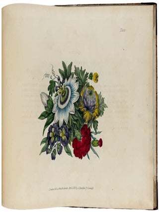 Rudiments of Drawing, Shadowing, and Colouring Flowers in Water Colours; Contained in Thirty-Six Instructive Lessons, Illustrated by Twenty-Nine Plates, from the outline of a single leaf progressively to the completion of a fine group; Intended for Beginners and Students of This delightful Art: with a description of Colours Used & the Method of Mixing Them