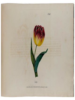 Rudiments of Drawing, Shadowing, and Colouring Flowers in Water Colours; Contained in Thirty-Six Instructive Lessons, Illustrated by Twenty-Nine Plates, from the outline of a single leaf progressively to the completion of a fine group; Intended for Beginners and Students of This delightful Art: with a description of Colours Used & the Method of Mixing Them