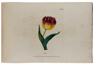 Rudiments of Drawing, Shadowing, and Colouring Flowers in Water Colours; Contained in Thirty-Six Instructive Lessons, Illustrated by Twenty-Nine Plates, from the outline of a single leaf progressively to the completion of a fine group; Intended for Beginners and Students of This delightful Art: with a description of Colours Used & the Method of Mixing Them