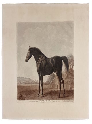 Item #4898 Protector. George STUBBS, George Townly STUBBS