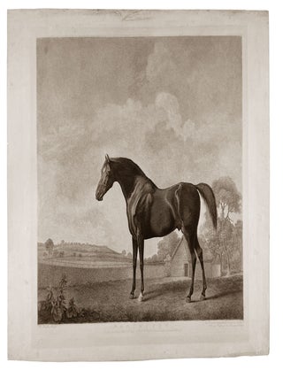 Item #4899 Protector. George STUBBS, George Townly STUBBS