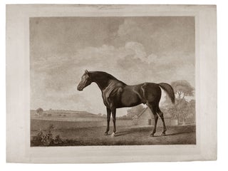 Item #4899 Protector. George STUBBS, George Townly STUBBS