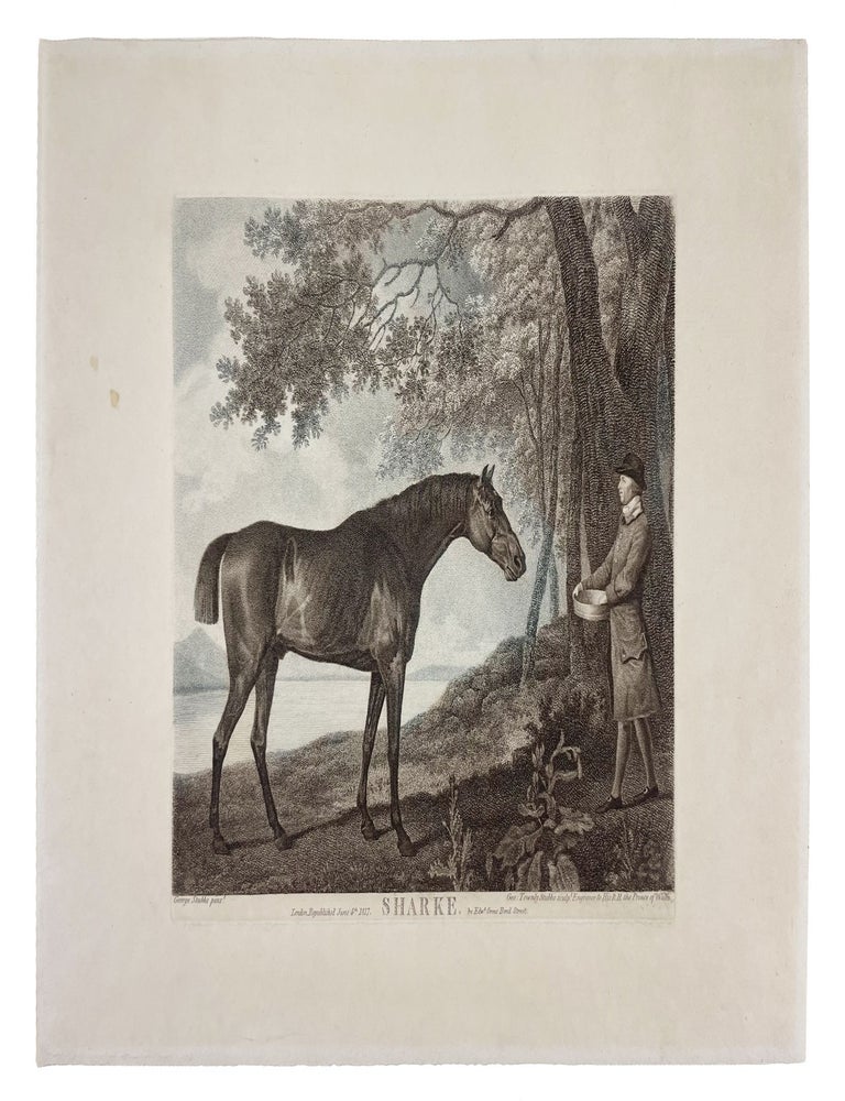 Item #4901 Sharke. George STUBBS, George Townly STUBBS.
