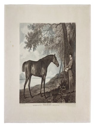 Item #4901 Sharke. George STUBBS, George Townly STUBBS