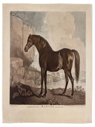 Item #4903 Marske. George STUBBS, George Townly STUBBS